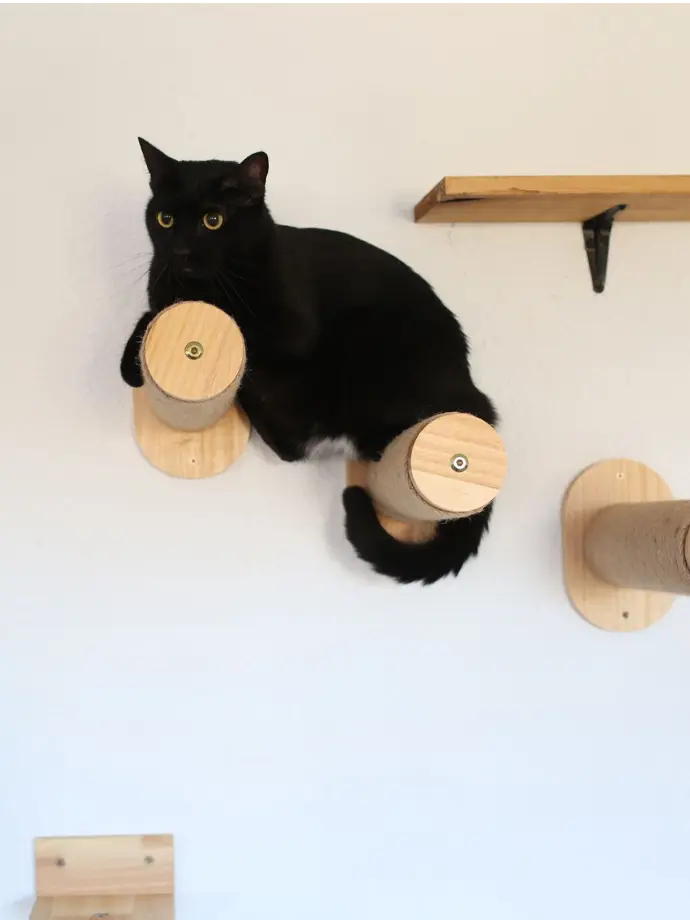 Cat stairs made of wood